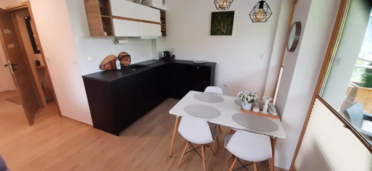 Apartamenty Bachledzki Wierch Zakopane Exterior foto
